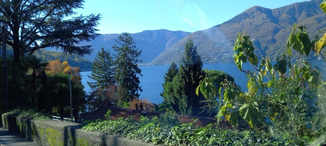 Casa Le Palme Villa Pino Lago Maggiore Kültér fotó