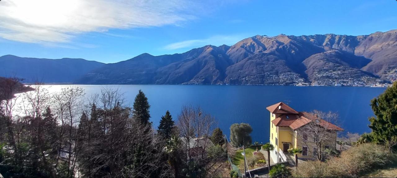 Casa Le Palme Villa Pino Lago Maggiore Kültér fotó