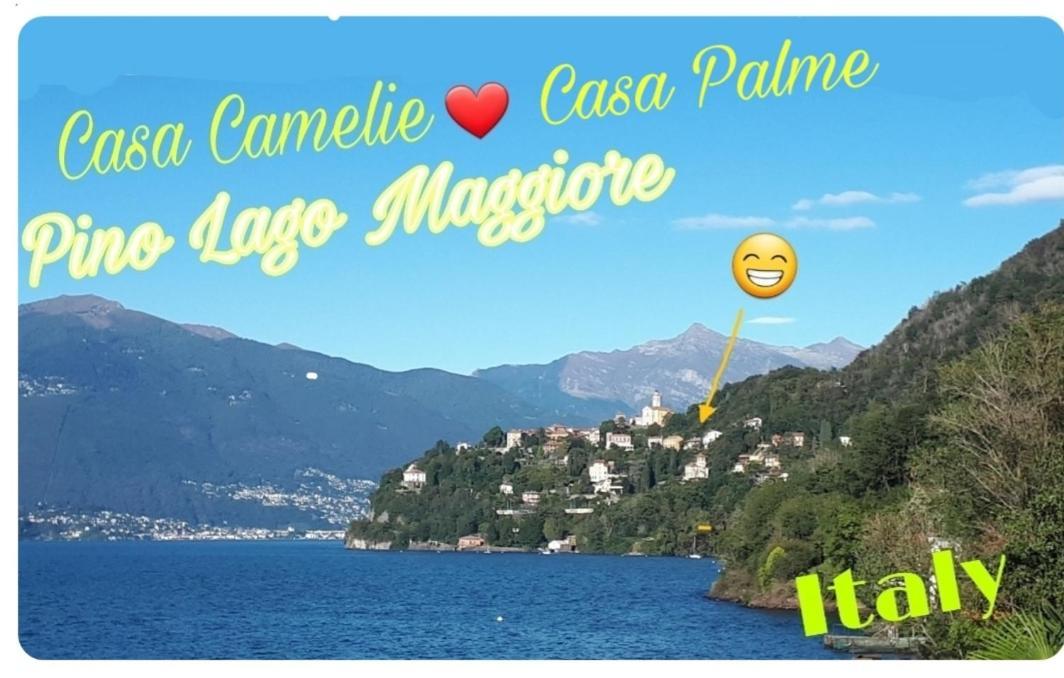 Casa Le Palme Villa Pino Lago Maggiore Kültér fotó