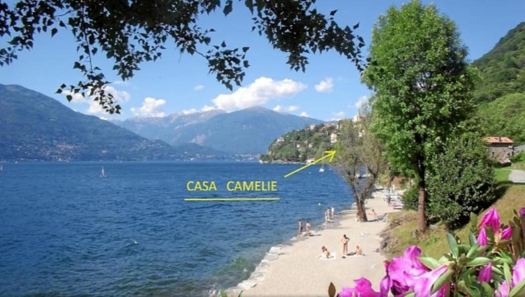 Casa Le Palme Villa Pino Lago Maggiore Kültér fotó