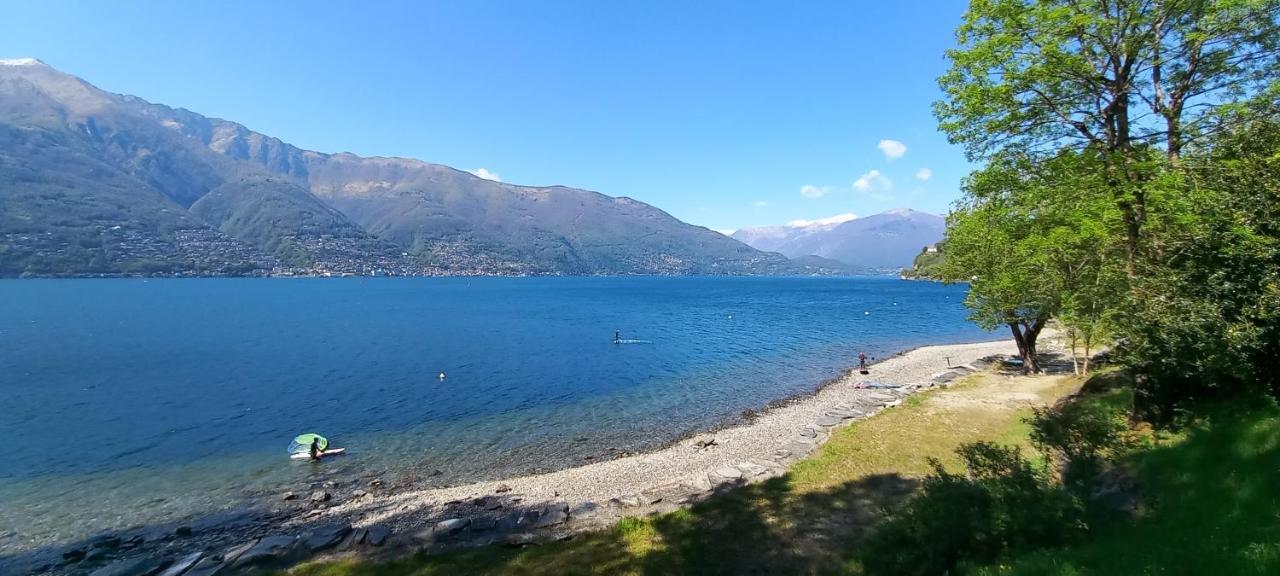 Casa Le Palme Villa Pino Lago Maggiore Kültér fotó