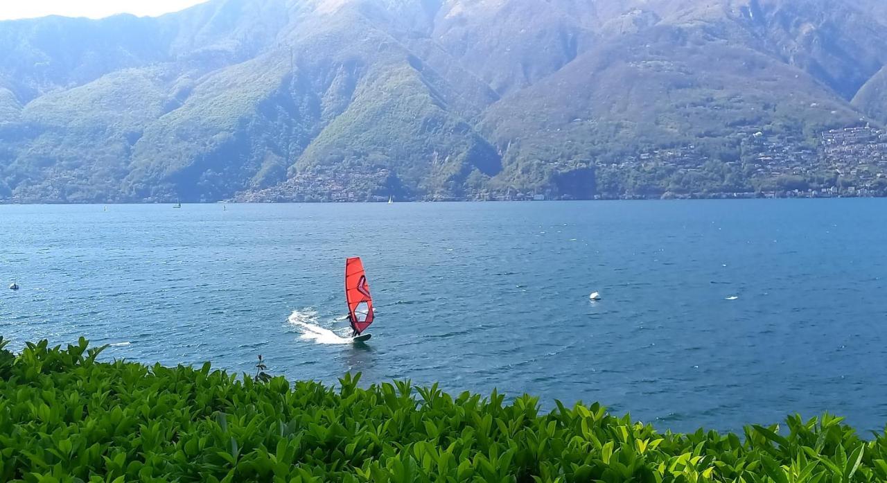 Casa Le Palme Villa Pino Lago Maggiore Kültér fotó