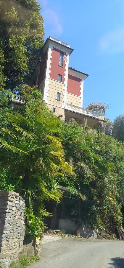 Casa Le Palme Villa Pino Lago Maggiore Kültér fotó