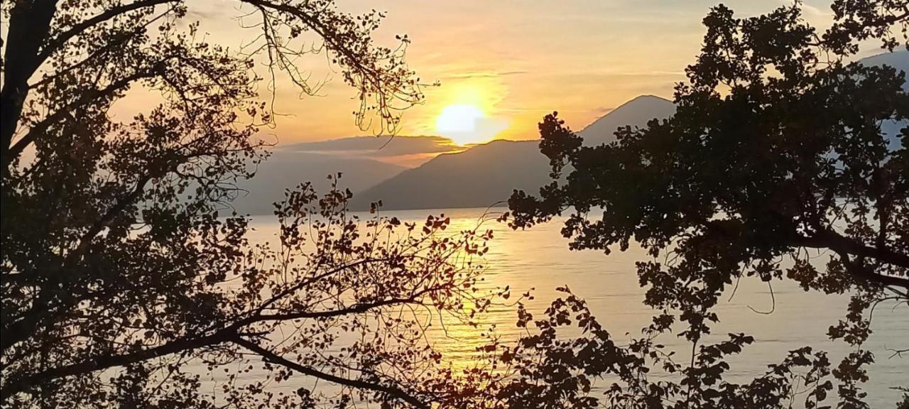 Casa Le Palme Villa Pino Lago Maggiore Kültér fotó