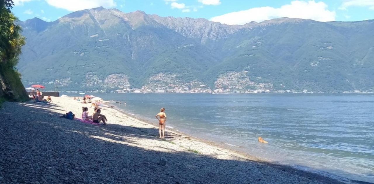 Casa Le Palme Villa Pino Lago Maggiore Kültér fotó