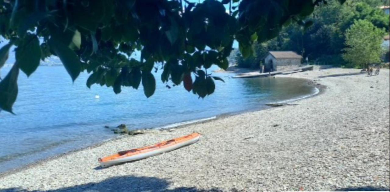 Casa Le Palme Villa Pino Lago Maggiore Kültér fotó