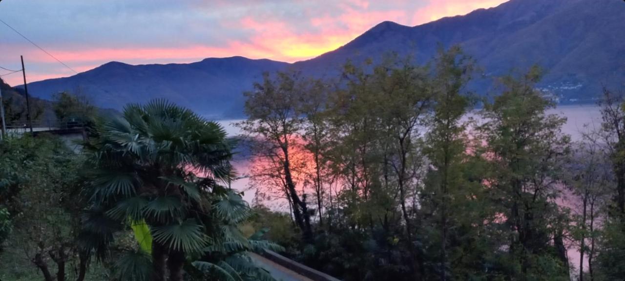 Casa Le Palme Villa Pino Lago Maggiore Kültér fotó