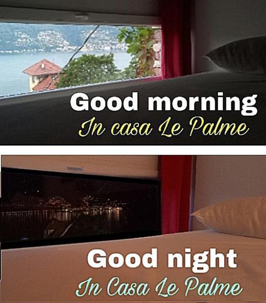 Casa Le Palme Villa Pino Lago Maggiore Kültér fotó