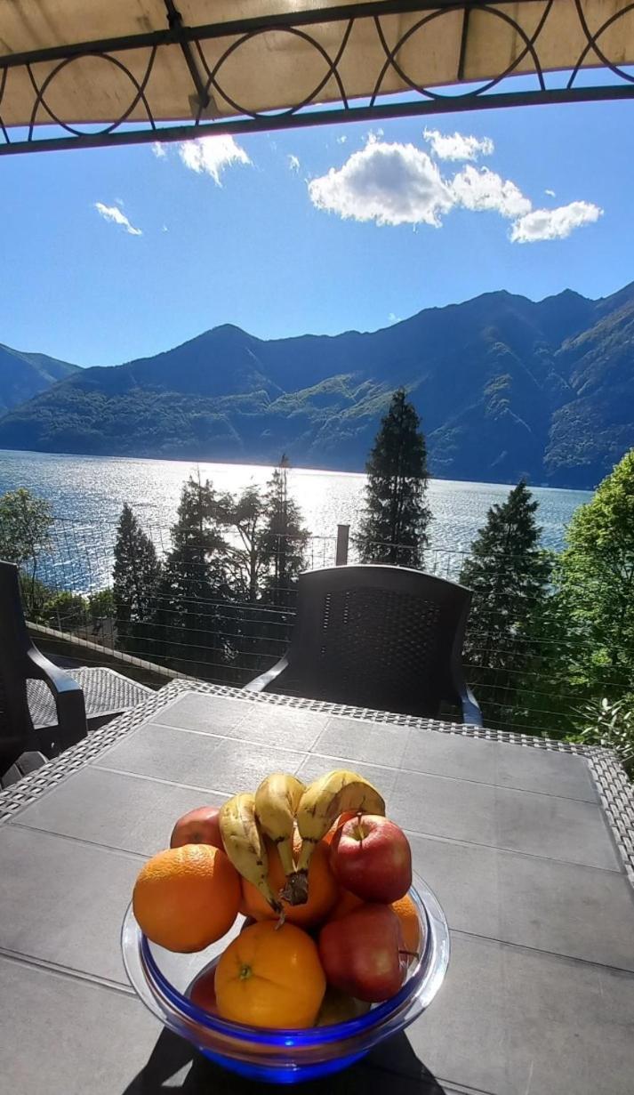 Casa Le Palme Villa Pino Lago Maggiore Kültér fotó
