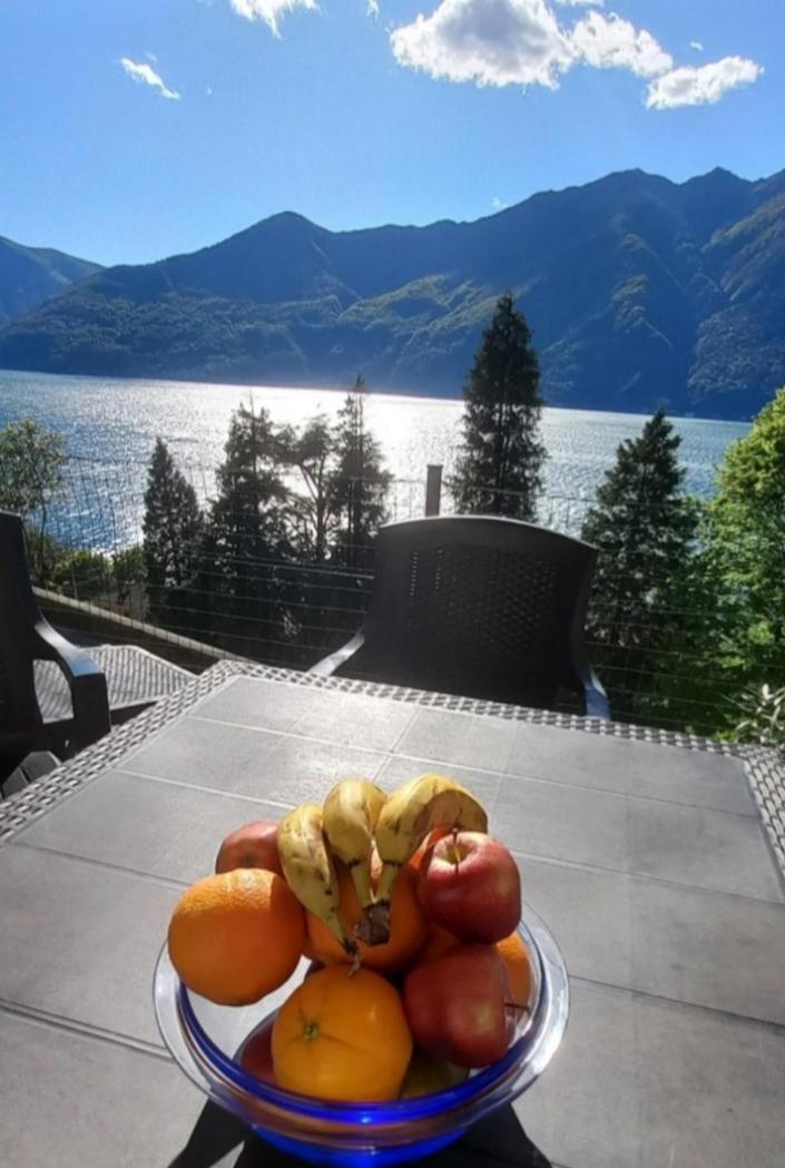 Casa Le Palme Villa Pino Lago Maggiore Kültér fotó