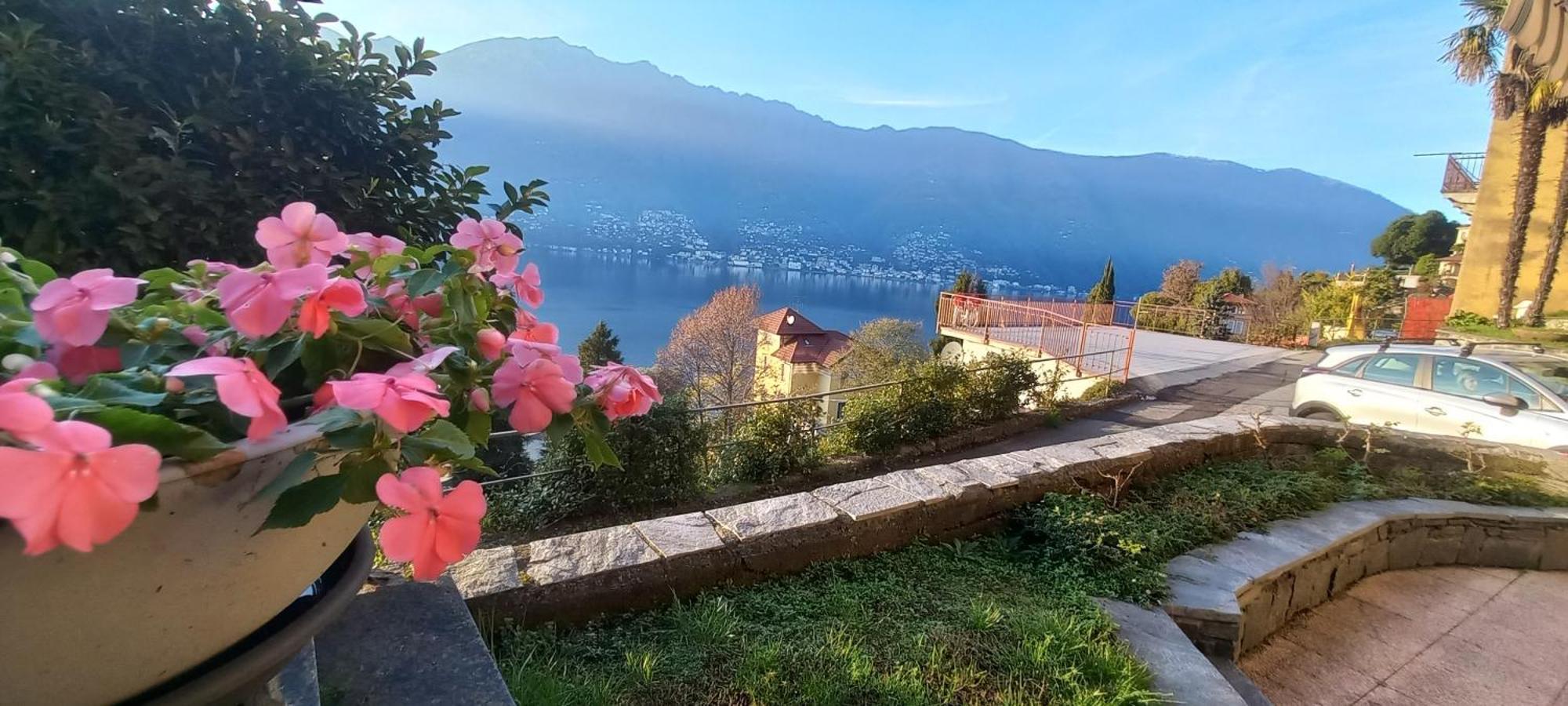 Casa Le Palme Villa Pino Lago Maggiore Kültér fotó