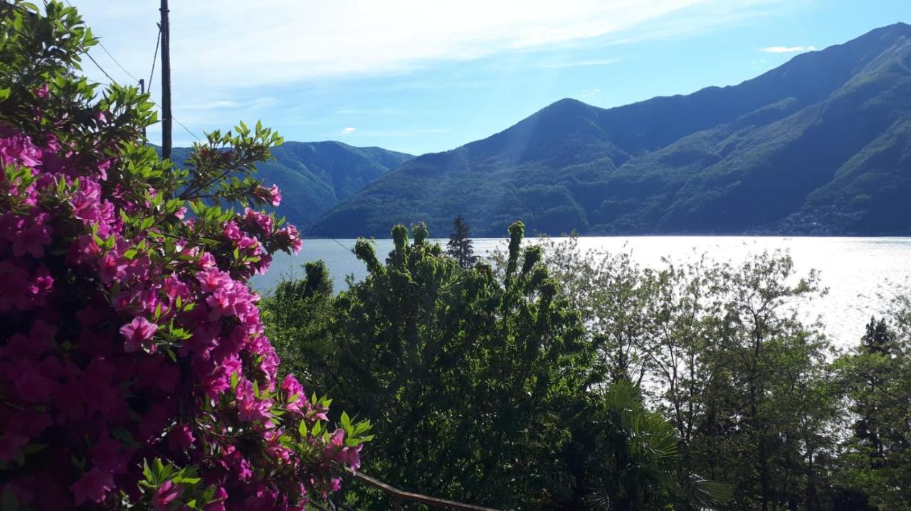 Casa Le Palme Villa Pino Lago Maggiore Kültér fotó
